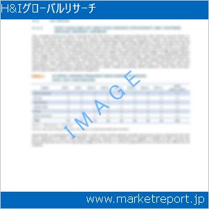 市場と産業調査レポートのイメージ